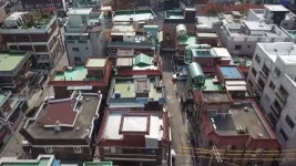 비법 : 뉴스 : SBS SBS