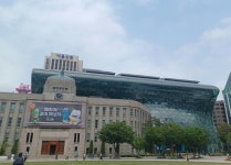 조례 : 뉴스 : SBS SBS