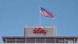 sweet : 뉴스 : SBS SBS