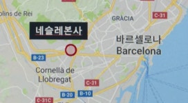 이성우 : 뉴스 : SBS SBS