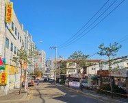 김포시, 겨울철 가로수 정비로 도시미관 한층 개선  김포시, 겨울철 가로수 정비로 도시미관 한층 개선