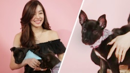 Tiffany Young Plays With Puppies While Answering Fan Questions Watch: Tiffany Young Plays With Puppies While Answering Fan Questions