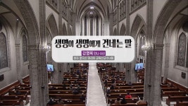 대림시기 : cpbc플러스