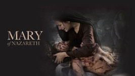 대림시기 : cpbc플러스