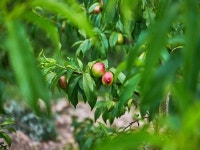 여수 돌산힐링펜션 데일리호텔 - 호텔&레스토랑 할인예약