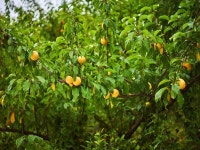 여수 돌산힐링펜션 데일리호텔 - 호텔&레스토랑 할인예약