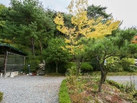 양산(배내골) 솔마루펜션 데일리호텔 - 호텔&레스토랑 할인예약