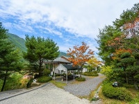 양산(배내골) 솔마루펜션 데일리호텔 - 호텔&레스토랑 할인예약