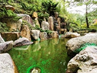 양산(배내골) 솔마루펜션 데일리호텔 - 호텔&레스토랑 할인예약