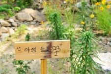 정선 또바기콘도펜션 데일리호텔 - 호텔&레스토랑 할인예약