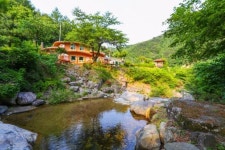 데일리호텔 - No.1 전세계 호텔특가 데일리호텔 - 호텔&레스토랑 할인예약