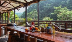 양평 느티나무펜션 데일리호텔 - 호텔&레스토랑 할인예약