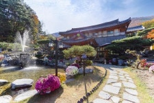 공주 솔향펜션 데일리호텔 - 호텔&레스토랑 할인예약