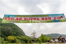 양평 1박2일민박펜션 데일리호텔 - 호텔&레스토랑 할인예약