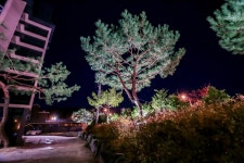 춘천 플레인호텔(THE PLAIN) 데일리호텔 - 호텔&레스토랑 할인예약