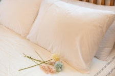 삼척 콩앤삐펜션 데일리호텔 - 호텔&레스토랑 할인예약