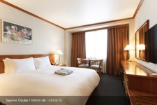 트루 리뷰 데일리호텔 - 호텔&레스토랑 할인예약