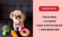 라마다 호텔앤스위트 서울 남대문 데일리호텔 - 호텔&레스토랑 할인예약