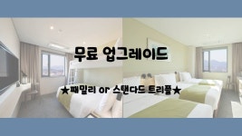 나인트리 호텔 동대문 데일리호텔 - 호텔&레스토랑 할인예약