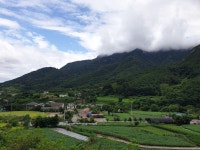 트루 리뷰 데일리호텔 - 호텔&레스토랑 할인예약