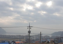 트루 리뷰 데일리호텔 - No.1 전세계 호텔특가