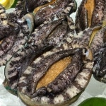 해신수산 완도 활전복 특특大 5-6미 1kg [1개] - 에누리 가격비교
