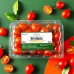 전라도청년 달달아삭 스테비아 방울토마토 토마토 청년마토 [500g,2개] - 에누리 가격비교