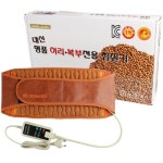 대신전자 대신 명품 허리복부 전용 찜질기 DS-503 - 에누리 가격비교