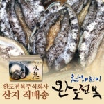 완도전복주식회사 완도 대 활전복 780g 10미 - 에누리 가격비교