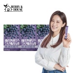 와이케이컴퍼니 베리앤하우스 블루베리 퓨레 20g 14포 [3개] - 에누리 가격비교