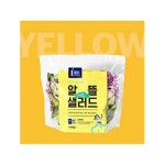푸드나무 알뜰 데일리 샐러드 옐로우 100g [15개] - 에누리 가격비교