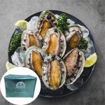 해신수산 완도 활전복 특특大 5~6미 1kg [1개] - 에누리 가격비교