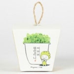 꿈쟁이 그린패밀리 마마의 허브바질 - 에누리 가격비교