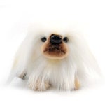 Pekingese Dog (페키니즈) 3419 - 에누리 가격비교