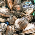 해온수산 왕우럭조개 5~10미내외 1kg [1개] - 에누리 가격비교