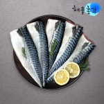 해물총각 노르웨이 고등어필렛 손질생선 구이조림용 고등어살 5팩 - 에누리 가격비교