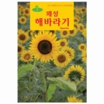 보람농원 동산원 왜성해바라기 키작은 해바라기 해바라기씨앗 꽃 씨앗 - 에누리 가격비교