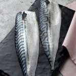 청정해신선어주 | 청정해 노르웨이 고등어살 특대 5kg [1개] - 에누리 가격비교