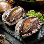 해신수산 완도 활전복 14~15미 1kg [1개] - 에누리 가격비교