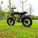 SUPER73 전기자전거 YQEBIKES 초장거리 전기 듀얼 빅 해변 도시 73 2000W 5.Dual Motor 3000W50Ah 7 - 에누리 가격비교