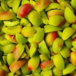 명가일품 섬진강 하동 씨제거 홍매실 깐매실 5kg [1개] - 에누리 가격비교