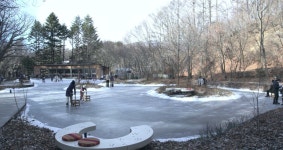 이슈/유머 - 로코 서사 대박이었던 넷플릭스 리얼리티 PART-5