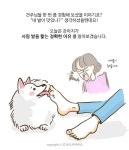 이슈/유머 - 강아지가 내 발을 핱는 이유
