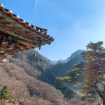 여행/해외거주 - 별로 도움 안되는 경북 봉화 청량산 후기