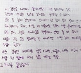 꾸미기 - 내 만년필과 내가 사랑하는 내 글씨(약스압?)