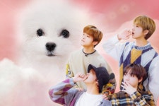 팬토리 - 🐶💗💗💗💗💗💗💗🐯🐹🐻🐬
