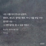 노벨정원 - 신의 소원은 누가 들어줄 수 있을까. (폭군의 애착인형-발췌 많음)