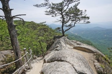 도토리숲 - 100대명산 중 50개 탄 등산 후기 (강원도편)