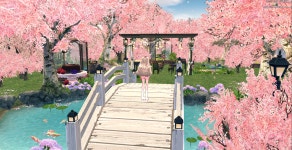 게임 - 토리네 농장에 초대합니다 (데이터 주의)