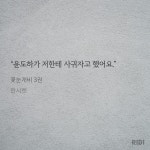 노벨정원 - 꽃눈개비 3권 ㅂㅊ(ㅅㅍ)